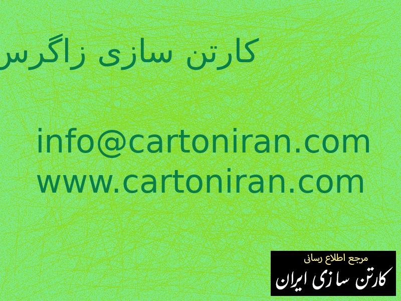 کارتن سازی زاگرس